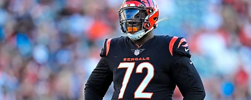 Steelers Sign Former Bengals DT