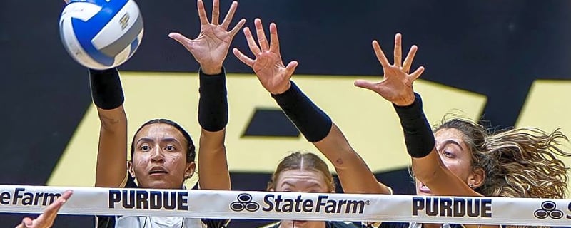 Purdue Volleyball Hoping For Swarm of Students to Invade Mackey for Home Openers