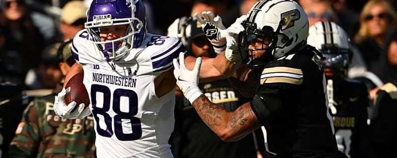 Vikings Make a Couple 90-Man Roster Changes, Add a TE and DT