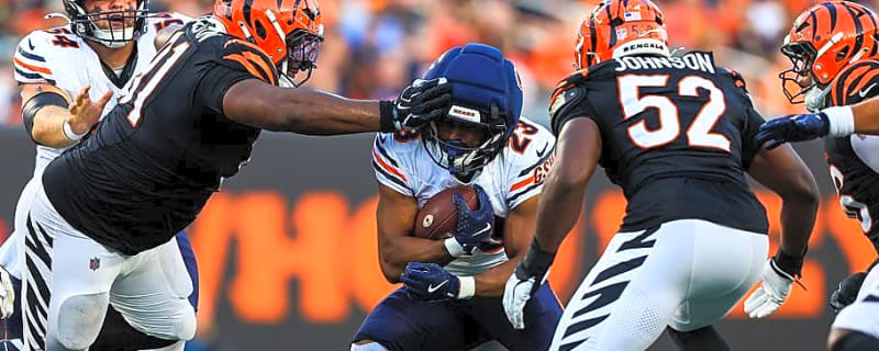 Roschon Johnson's Statement Game Might Have Been Only Bears Positive