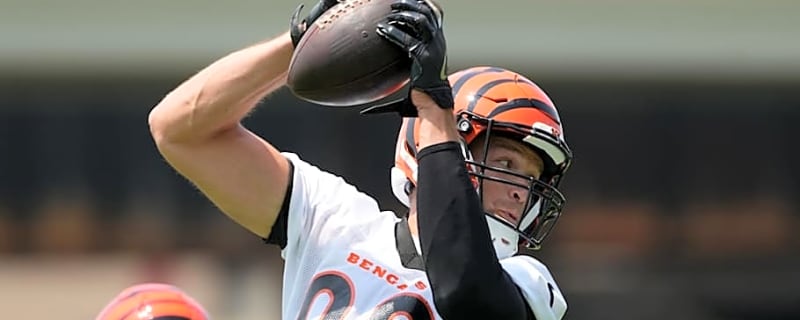 Cincinnati Bengals Starter Appears to Suffer Injury in Practice Saturday Night