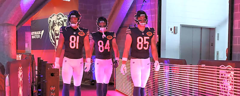 Where the Bears are Weaker and Stronger After Free Agency's Mad Rush