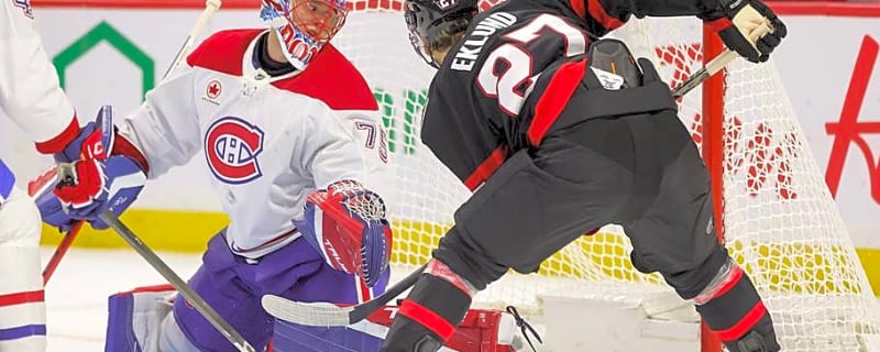 How have Ottawa's newest additions looked through preseason?