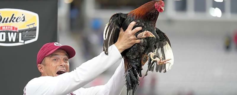 South Carolina Football: Why Bowl Berth in 2026 Is So Important for Shane Beamer