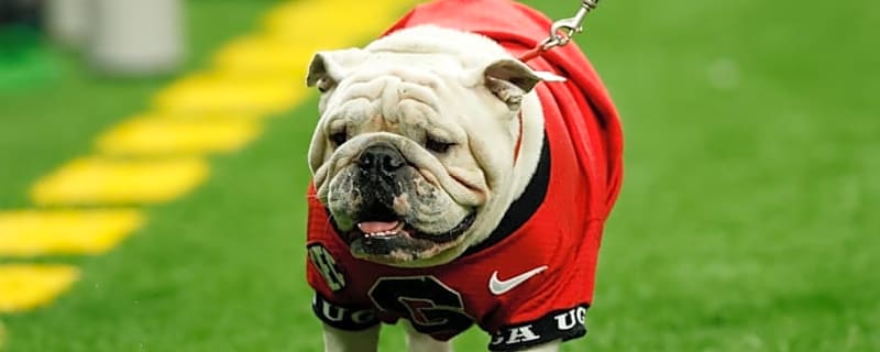 Mark Matthews Announces Commitment - Chooses Between Georgia, Miami, and Others