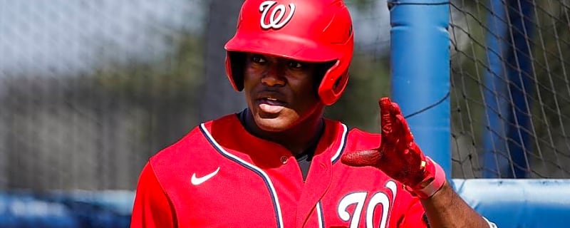 Nationals Promote Former Superstar Prospect After His Tumultuous Early Career