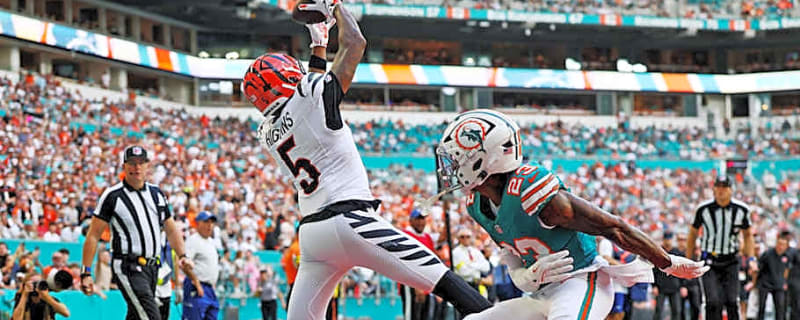 Joe Burrow Praises Tee Higgins After Bengals Wide Receiver Makes History
