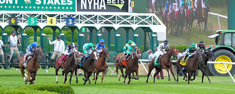 D&#39;Angelo sends a pair in Coronation Cup repeat bid