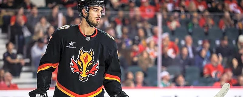 2026/27 Calgary Flames Player Preview: Kevin Bahl