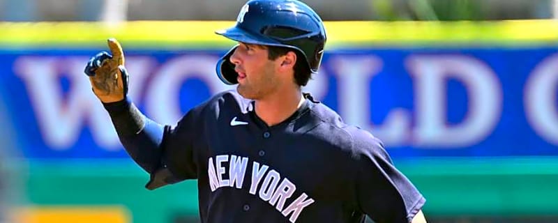 Yankees Make Baffling Decision on Spring Breakout Game