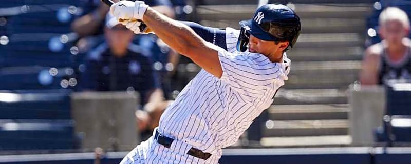 Yankees Top Prospect's Swing Draws Shohei Ohtani Comparison