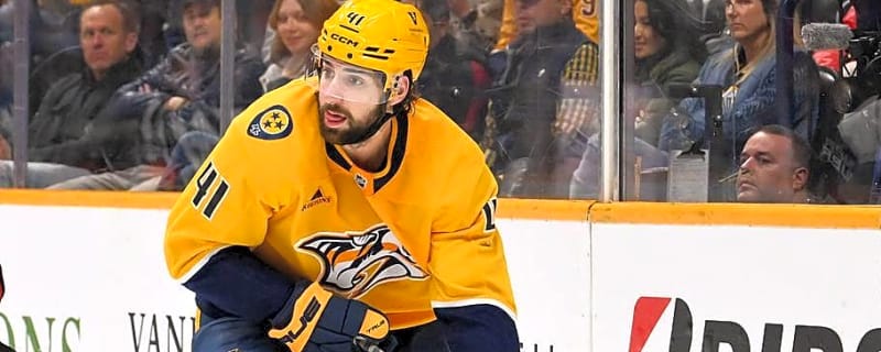 Nashville Defenseman Nic Hague on The Anatomy of a Fight