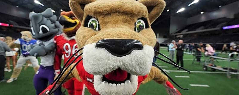 13 Days Until Kickoff: The Ultimate Fan Guide to Houston's Opener