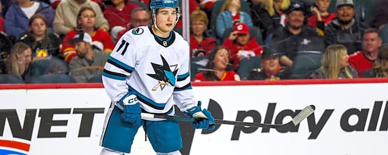 Sharks Swimming in Deep Prospect Pool