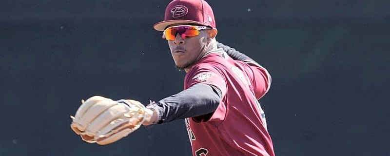 Diamondbacks Promote MiLB Home Run Leader in Latest Roster Move