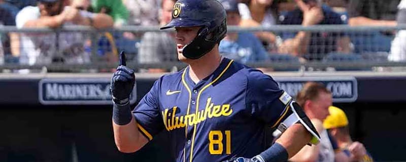 Houston Astros Trade for Milwaukee Brewers Prospect for First Base Depth