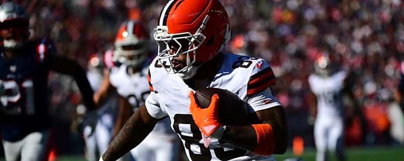 Browns backup receiver ends season as NFL leader in surprising category