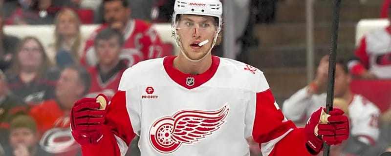 Red Wings' Preference for Simon Edvinsson Contract Would Be a Huge Mistake