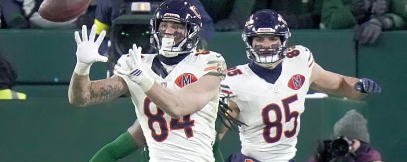 How Chicago Bears Fit the NFC North Trend for Success in Coming Season
