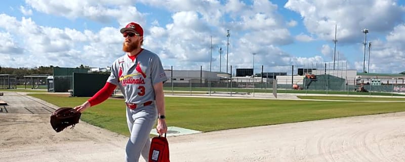 Cardinals May Have Hit Jackpot With $12.5 Million Offseason Signing