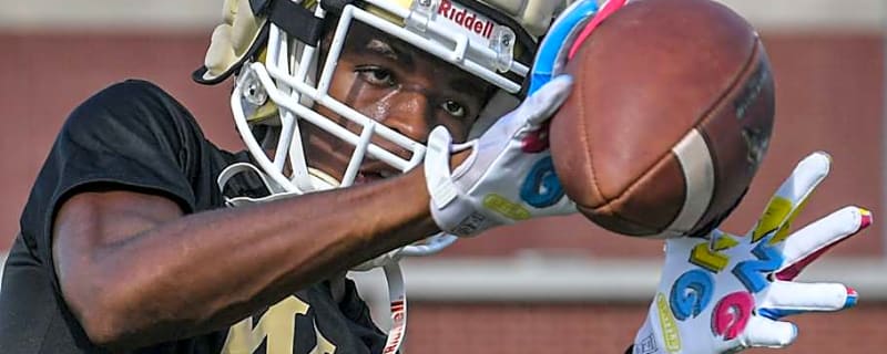 Report: Clemson Officially Adds Transfer WR to Roster