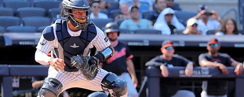 Ali Sanchez's Job Could Now Be in Jeopardy With Latest Catcher Signing
