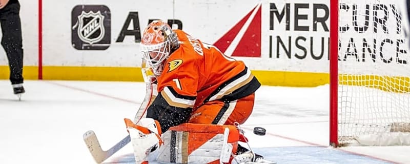 Ducks Poised to Take Over Pacific Division