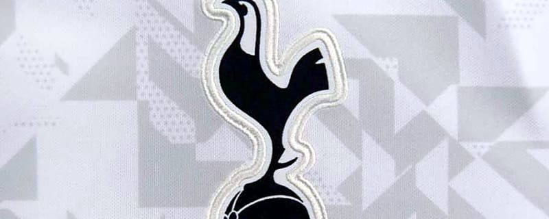 Transfer Expert&#39;s Verdict on Tottenham&#39;s Move for Sunderland Star in January