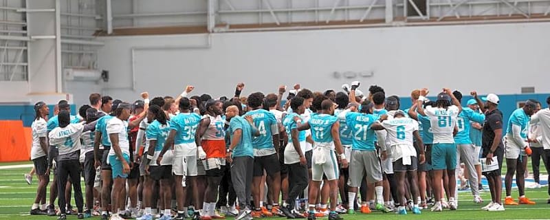 Ten Things We Learned During Dolphins Minicamp
