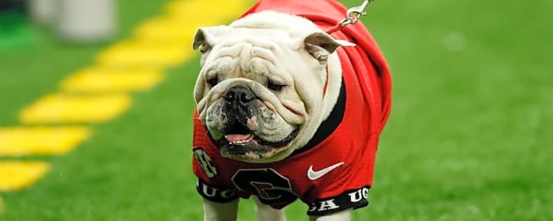 Georgia Football Sees Another Offensive Lineman Enter NCAA Transfer Portal