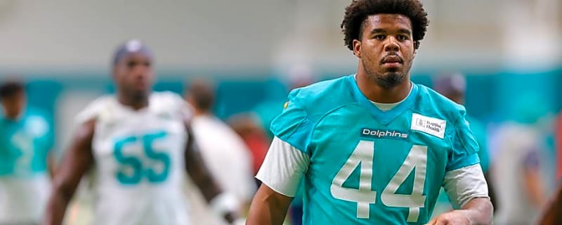 Proctor, Chop, Malik and the Other Dolphins Assessments at the First Break of Camp
