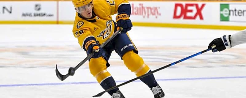 Predators Place Two Players on Injured Reserve