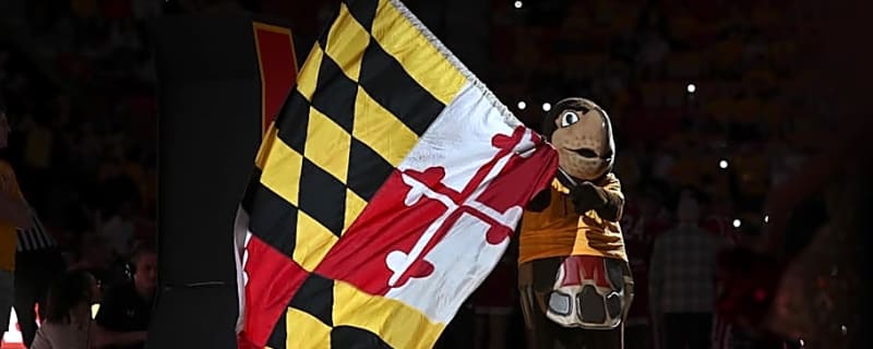Maryland lands LSU transfer, former Top 100 prospect