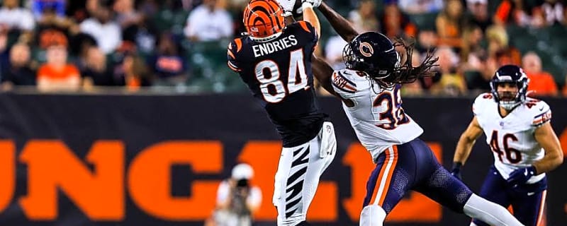 Ryan Poles and Bears Personnel Beating the Bushes as Well as Anyone