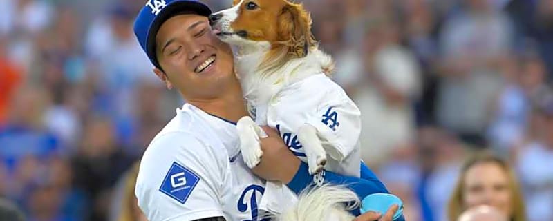 Decoy is More Than a Dog to Shohei Ohtani