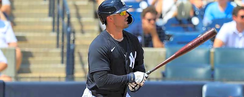 Yankees May Have Made Mistake With Final Bench Option