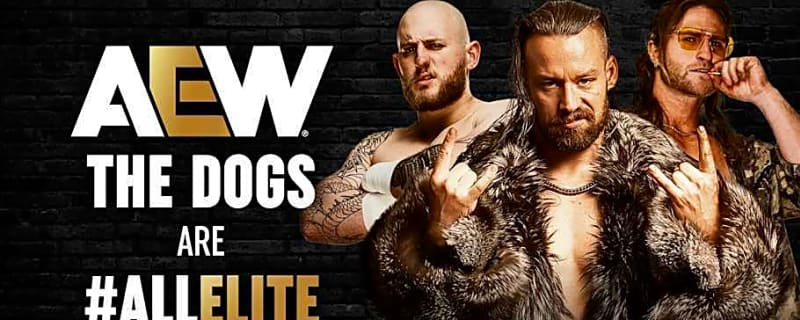 Backstage Details on David Finlay's Decision to Sign With AEW Over WWE