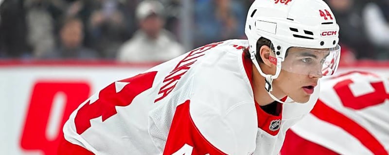 Red Wings Face Important Decision on Axel Sandin-Pellikka's Development