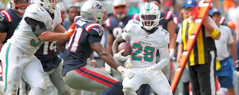 Dolphins Season Finale Has a Date and Time