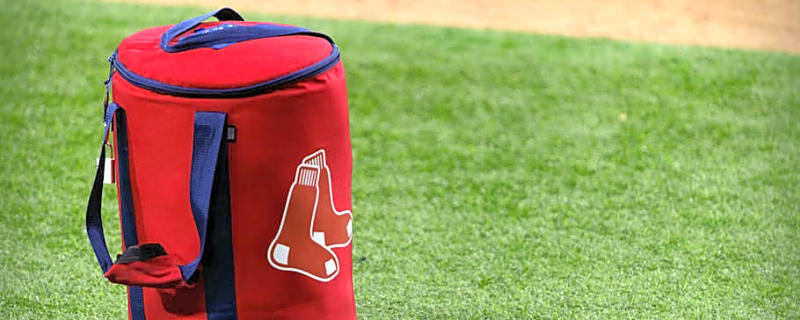 Red Sox DFA 7-Year Veteran, Promote David Hamilton For Yankees Series