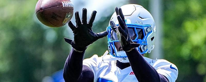 Detroit Lions DC Kelvin Sheppard Has Never Seen New Safety Smile