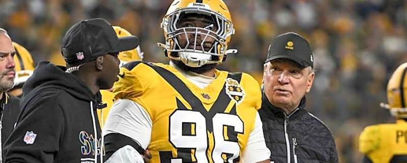 Steelers Lose Veteran Defender to ACL Injury