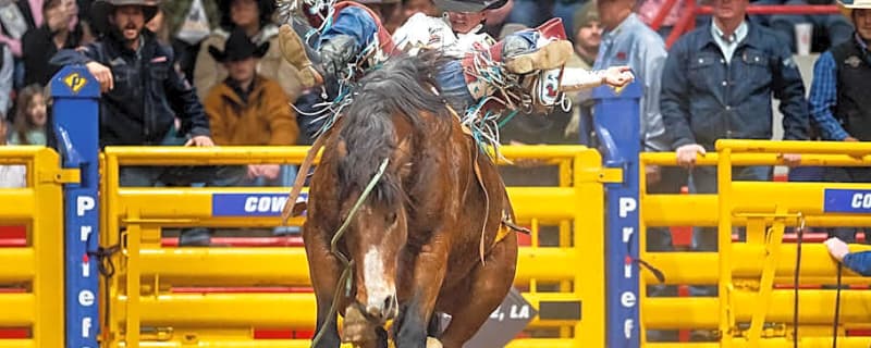 Inclusion of Calgary Stampede in Standings Draws Scrutiny From Rodeo Community