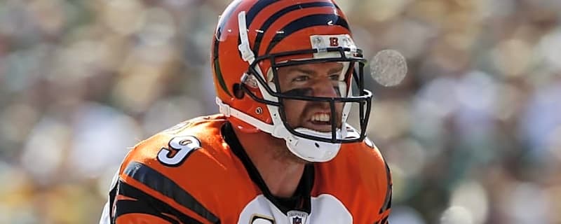 Bengals Great Draws Comparisons Between Carson Palmer, Joe Burrow's Frustrations With Franchise