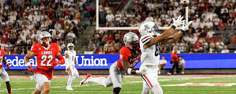 Arizona Wildcats 2025 Tight End Preview