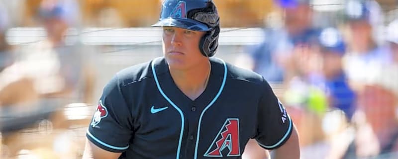 Diamondbacks Veteran Slugger Elects Free Agency