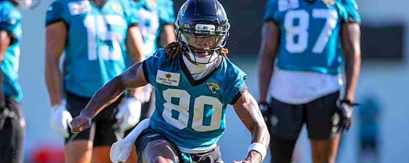 Jaguars Depth WRs Stand Out for One Jaguars Coach