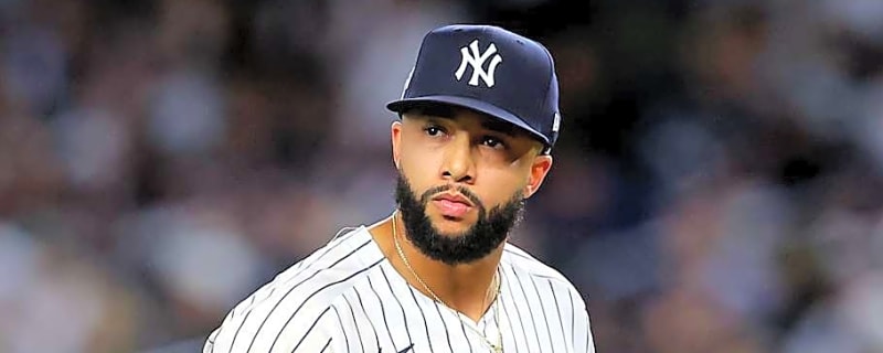 Analyst Gets Clear on What Mets Can Expect from Devin Williams