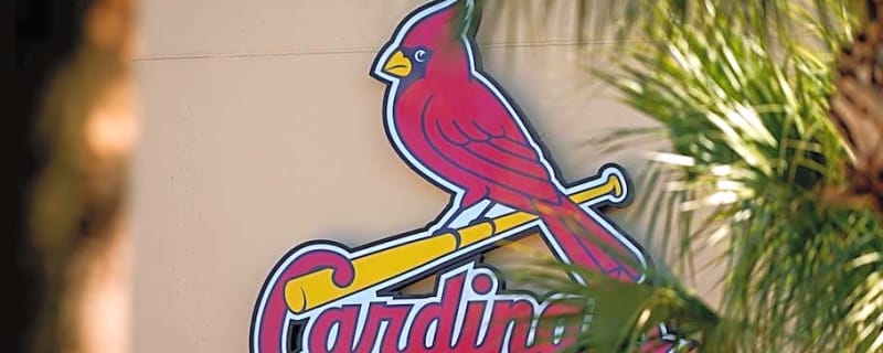 Cardinals Outfielder Notably Absent From Top Trade Candidate List