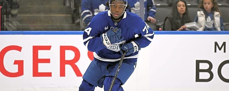One Maple Leafs prospect is having a perfect start to his season
